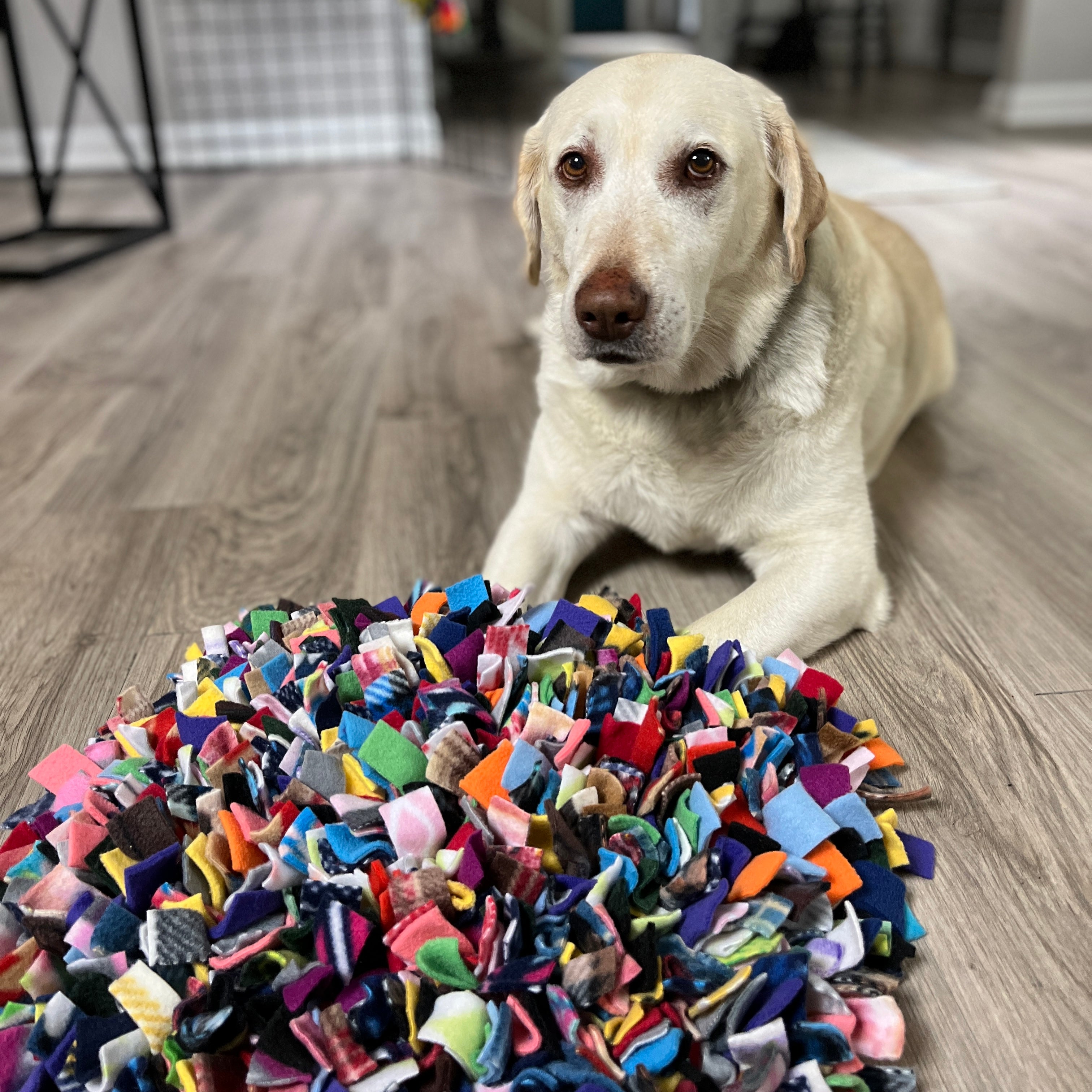 Extra Large Snuffle Mat – Snufflesshop