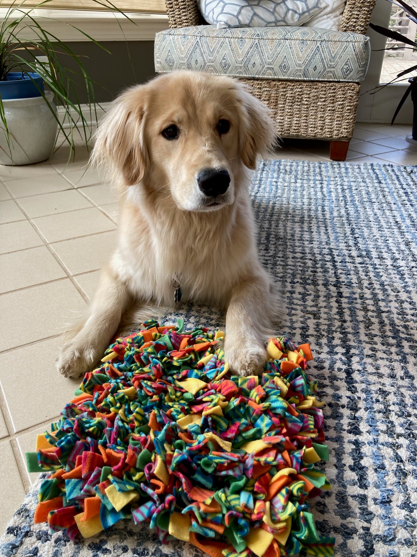 Large Snuffle Mat
